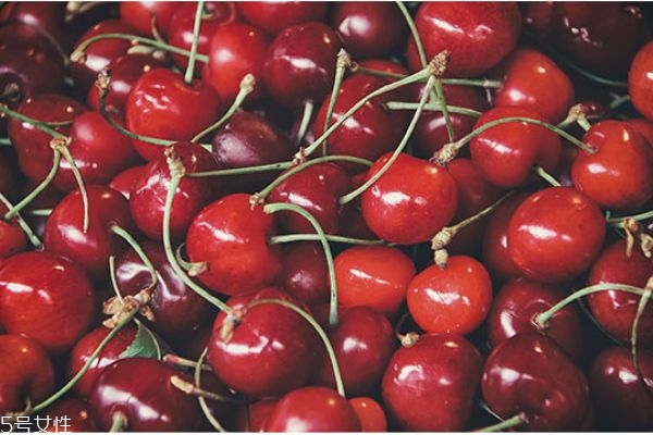 車(chē)?yán)遄邮裁磿r(shí)候上市 車(chē)?yán)遄映墒旒竟?jié) 車(chē)?yán)遄邮裁磿r(shí)候上市 車(chē)?yán)遄映墒旒竟?jié)