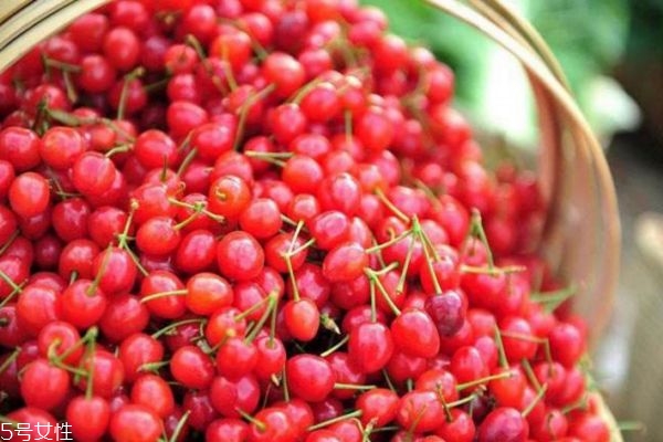 孕婦能吃櫻桃嗎 孕婦吃櫻桃的4大好處 孕婦能吃櫻桃嗎 孕婦吃櫻桃的4大好處