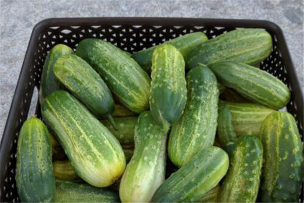 吃什么蔬菜最補血 蔬菜這樣吃補血 吃什么蔬菜最補血 蔬菜這樣吃補血