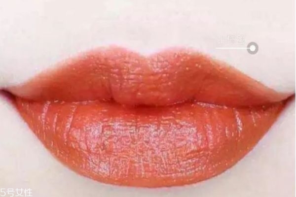 暖色皮膚適合什么口紅 適合暖色皮膚的口紅 暖色皮膚適合什么口紅 適合暖色皮膚的口紅
