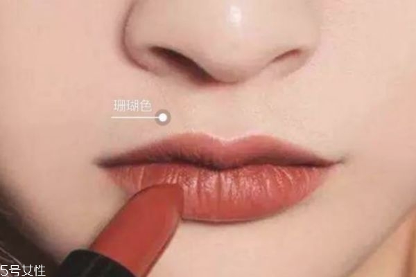 暖色皮膚適合什么口紅 適合暖色皮膚的口紅 暖色皮膚適合什么口紅 適合暖色皮膚的口紅