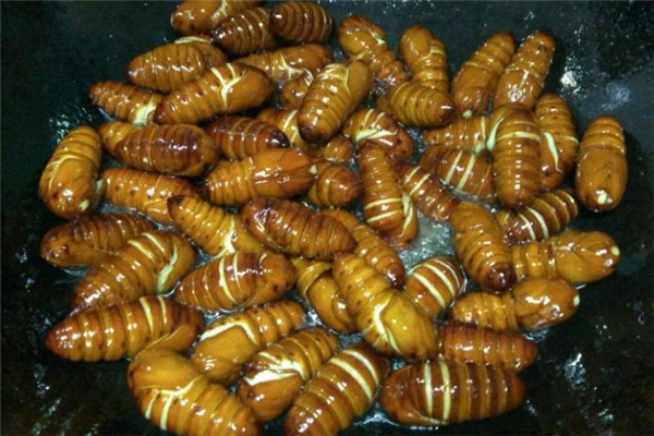 蠶蛹里面的黑東西能吃嗎 蠶蛹的黑芯 蠶蛹里面的黑東西能吃嗎 蠶蛹的黑芯