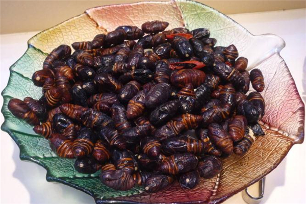 蠶蛹吃多了會(huì)中毒嗎 吃蠶蛹中毒的表現(xiàn) 蠶蛹吃多了會(huì)中毒嗎 吃蠶蛹中毒的表現(xiàn)