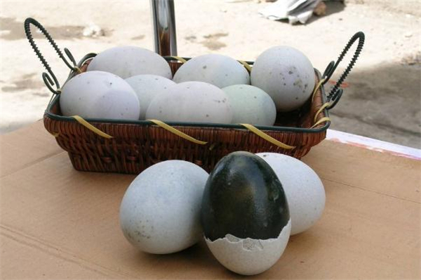 晚上吃皮蛋會發(fā)胖嗎 皮蛋的熱量 晚上吃皮蛋會發(fā)胖嗎 皮蛋的熱量