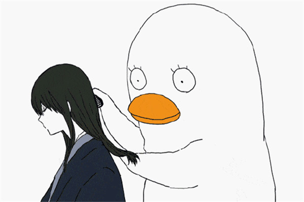 植發(fā)之后會掉嗎 植發(fā)之后怎么維護(hù)