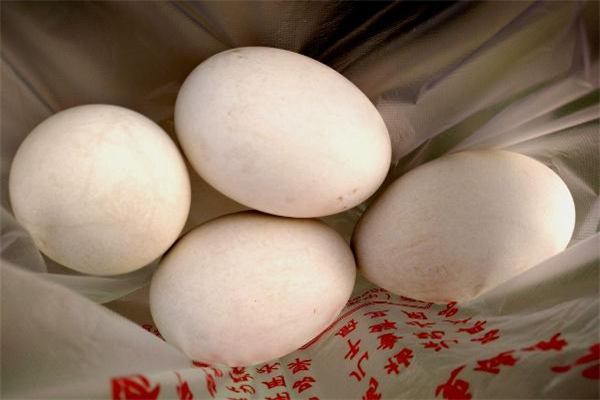 鵝蛋怎么保存 鵝蛋存放方法 鵝蛋怎么保存 鵝蛋存放方法
