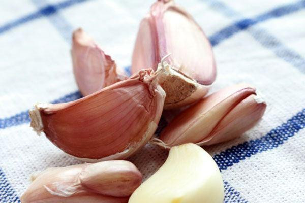 大蒜可以生吃嗎 大蒜的作用 大蒜可以生吃嗎 大蒜的作用
