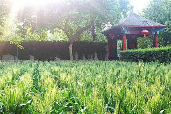 小滿有什么民俗活動(dòng) 小滿節(jié)氣的民俗 小滿有什么民俗活動(dòng) 小滿節(jié)氣的民俗