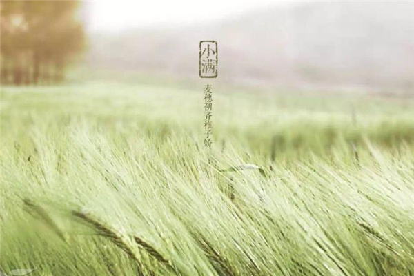 小滿見(jiàn)三新是哪三新 小滿見(jiàn)三新是什么意思 小滿見(jiàn)三新是哪三新 小滿見(jiàn)三新是什么意思