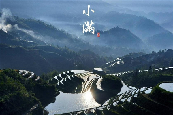 小滿前后種瓜種豆什么意思 種瓜點豆指什么