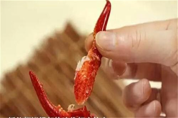 龍蝦不能和什么食物一起吃 龍蝦的禁忌 龍蝦不能和什么食物一起吃 龍蝦的禁忌