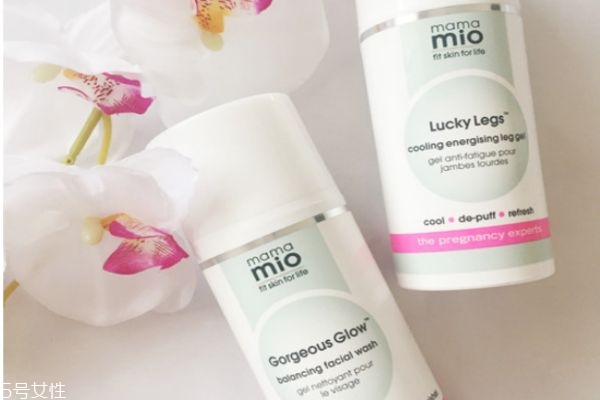 孕婦能用的化妝品牌子有哪些 孕婦護膚品排行 孕婦能用的化妝品牌子有哪些 孕婦護膚品排行