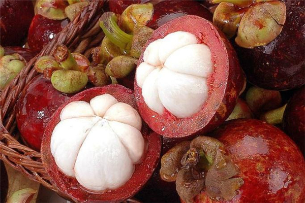 山竹皮可以泡水喝嗎 山竹殼泡水喝的功效 山竹皮可以泡水喝嗎 山竹殼泡水喝的功效