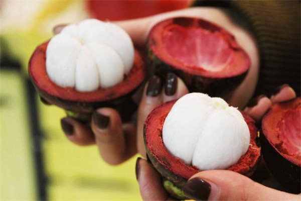 山竹皮煮水一天喝多少 山竹皮泡水技巧 山竹皮煮水一天喝多少 山竹皮泡水技巧
