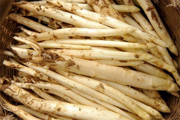 白蘆筍可以包餃子嗎 白蘆筍包餃子的做法 白蘆筍可以包餃子嗎 白蘆筍包餃子的做法