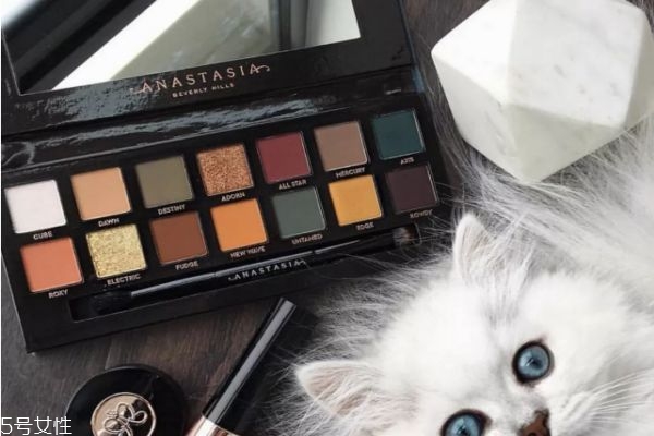 細(xì)閃眼影盤有哪些 好看的細(xì)閃眼影 細(xì)閃眼影盤有哪些 好看的細(xì)閃眼影