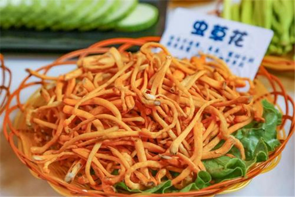 蟲草花有什么效果 吃蟲草花有什么效果 蟲草花有什么效果 吃蟲草花有什么效果