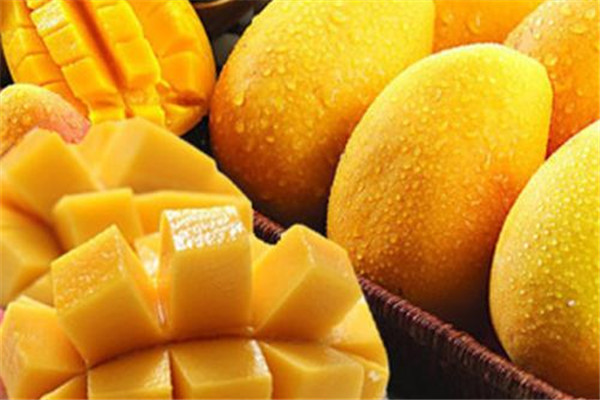 芒果是止血的嗎 芒果作用是這樣 芒果是止血的嗎 芒果作用是這樣