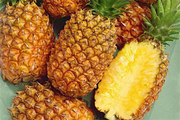 鳳梨和芒果可以一起吃嗎 大量食用并不好 鳳梨和芒果可以一起吃嗎 大量食用并不好