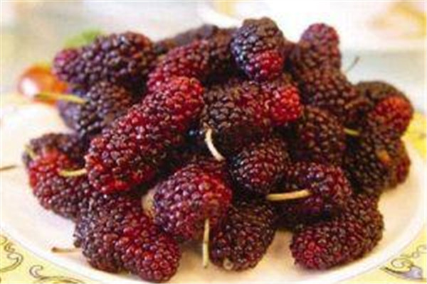 桑葚是涼性的嗎 桑葚屬于什么水果 桑葚是涼性的嗎 桑葚屬于什么水果