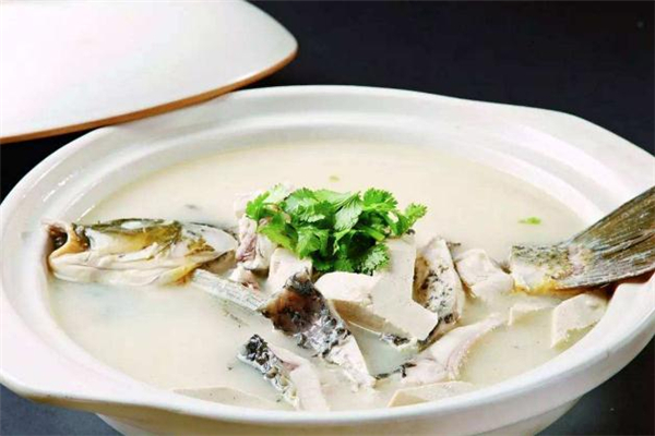 鯽魚湯清熱還是上火 喝鯽魚湯會上火嗎 鯽魚湯清熱還是上火 喝鯽魚湯會上火嗎