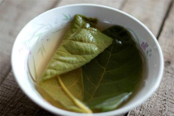 枇杷葉煮水用老葉還是新葉 枇杷葉煮水可以用新葉嗎 枇杷葉煮水用老葉還是新葉 枇杷葉煮水可以用新葉嗎