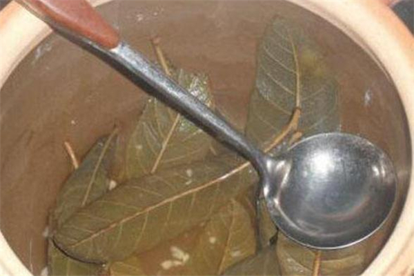 枇杷葉煮水要去毛嗎 枇杷葉上面的毛有毒嗎 枇杷葉煮水要去毛嗎 枇杷葉上面的毛有毒嗎