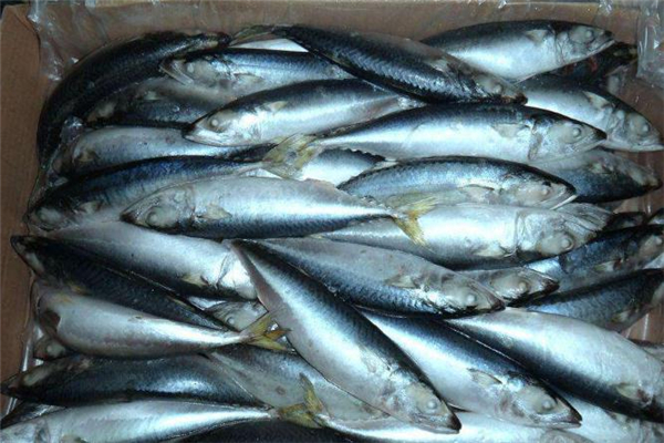 青魚和什么一起吃最好 青魚的家常做法 青魚和什么一起吃最好 青魚的家常做法