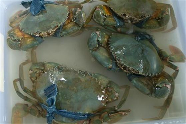 怎么看青蟹有沒有膏 青蟹什么時(shí)候膏最多