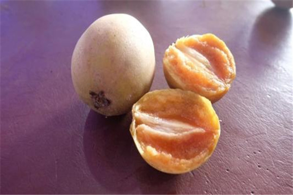 人心果怎么吃 人心果好吃嗎 人心果怎么吃 人心果好吃嗎