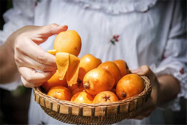 枇杷葉能和梨一起煮嗎 枇杷葉的作用 枇杷葉能和梨一起煮嗎 枇杷葉的作用