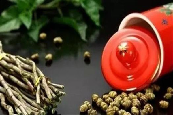 鐵皮石斛不能和什么一起吃 鐵皮石斛不適合什么人吃 鐵皮石斛不能和什么一起吃 鐵皮石斛不適合什么人吃