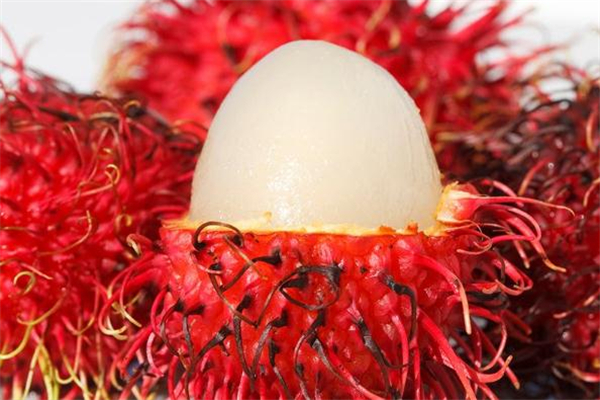 吃紅毛丹可以喝酸奶嗎 紅毛丹和酸奶能一起吃嗎 吃紅毛丹可以喝酸奶嗎 紅毛丹和酸奶能一起吃嗎