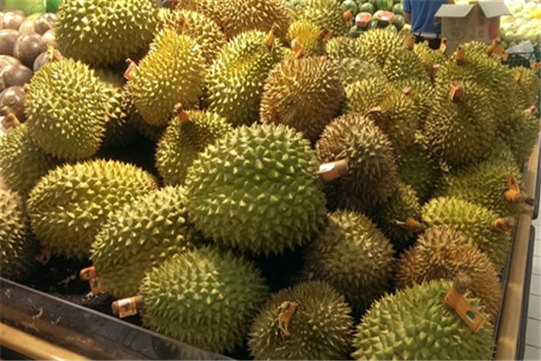 榴蓮是熱帶水果嗎 榴蓮是不是發(fā)物 榴蓮是熱帶水果嗎 榴蓮是不是發(fā)物