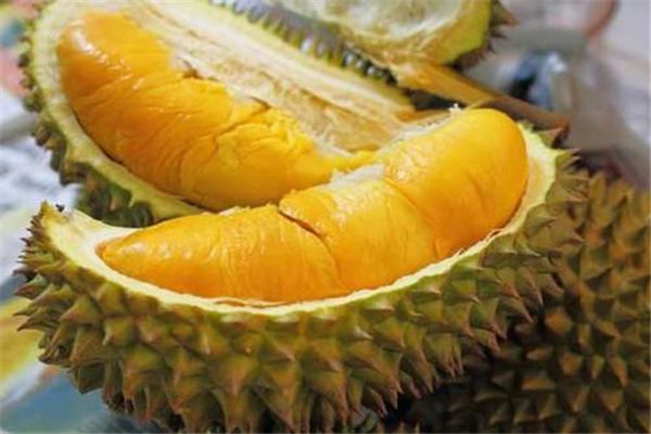 榴蓮是熱帶水果嗎 榴蓮是不是發(fā)物 榴蓮是熱帶水果嗎 榴蓮是不是發(fā)物