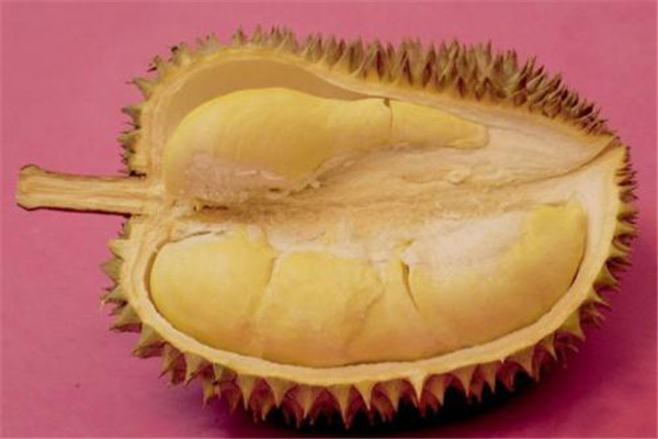 榴蓮能放多久 榴蓮可以多吃嗎 榴蓮能放多久 榴蓮可以多吃嗎