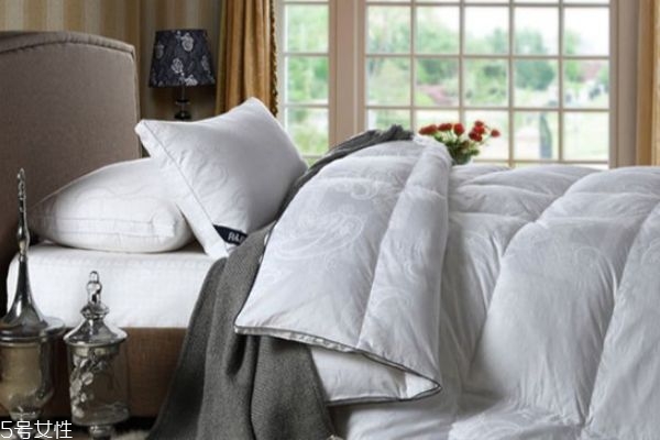 七孔被和四孔被哪個好 七孔被和四孔被介紹 七孔被和四孔被哪個好 七孔被和四孔被介紹