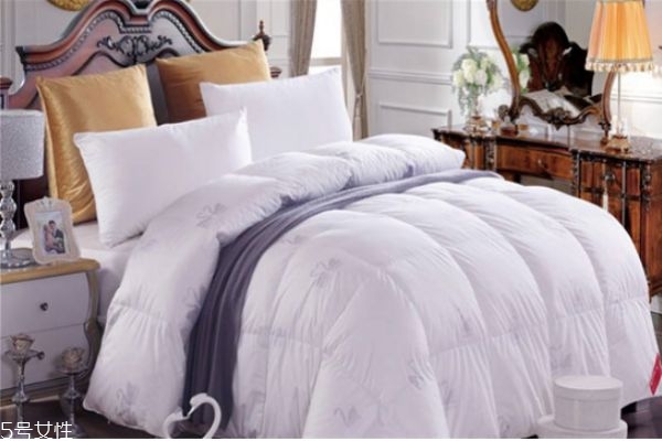 七孔被和四孔被哪個好 七孔被和四孔被介紹 七孔被和四孔被哪個好 七孔被和四孔被介紹