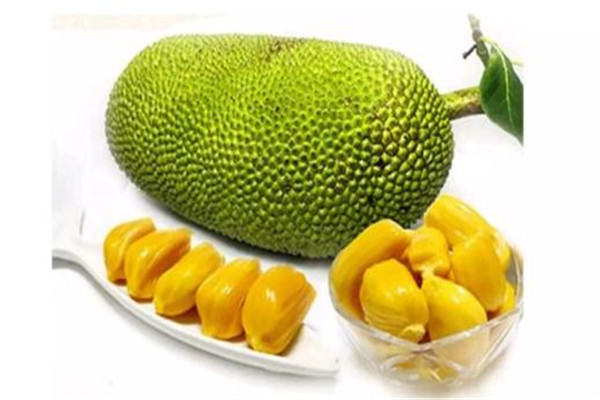 菠蘿蜜有點臭味正常嗎 菠蘿蜜有味道正常嗎 菠蘿蜜有點臭味正常嗎 菠蘿蜜有味道正常嗎