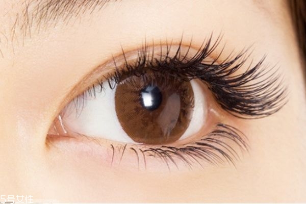 嫁接睫毛脫落怎么辦 正確護(hù)理保持更長時(shí)間 嫁接睫毛脫落怎么辦 正確護(hù)理保持更長時(shí)間