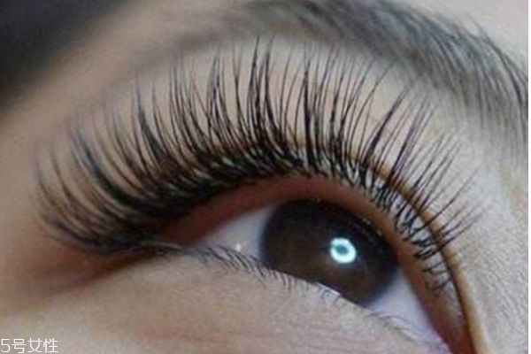 種植睫毛能管多久 種睫毛能維持多長(zhǎng)時(shí)間