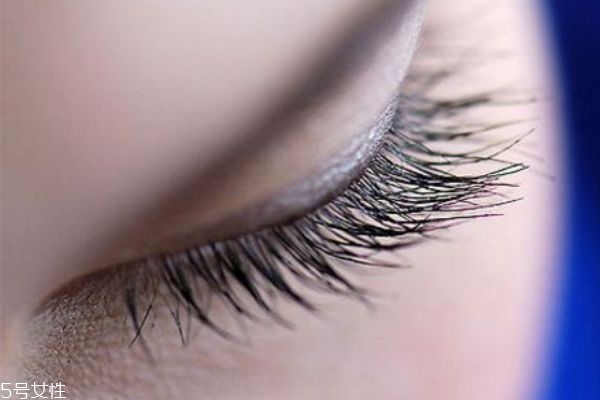 種睫毛怎么卸掉 教你如何輕松去除 種睫毛怎么卸掉 教你如何輕松去除