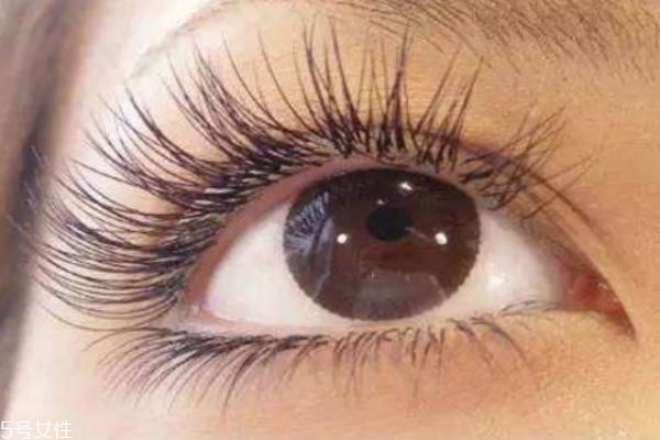 種睫毛怎么種 怎樣種眼睫毛 種睫毛怎么種 怎樣種眼睫毛