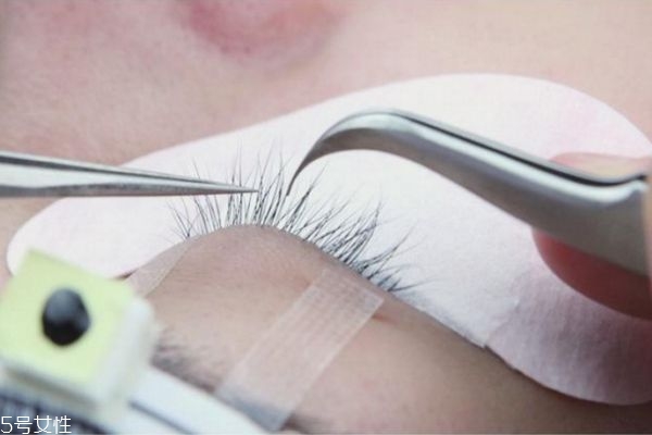 種睫毛怎么種 怎樣種眼睫毛 種睫毛怎么種 怎樣種眼睫毛