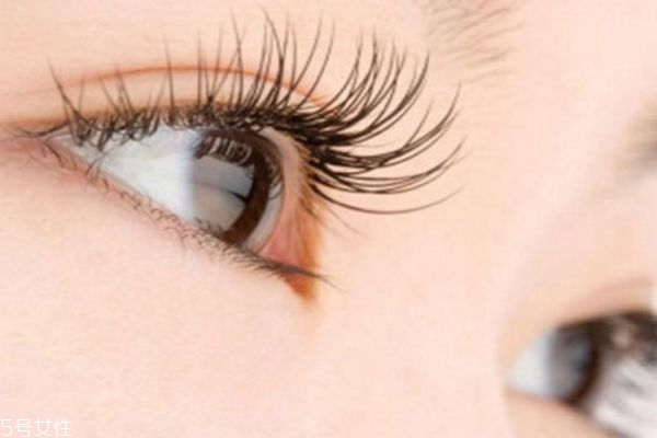 種睫毛怎么卸掉 教你如何輕松去除 種睫毛怎么卸掉 教你如何輕松去除