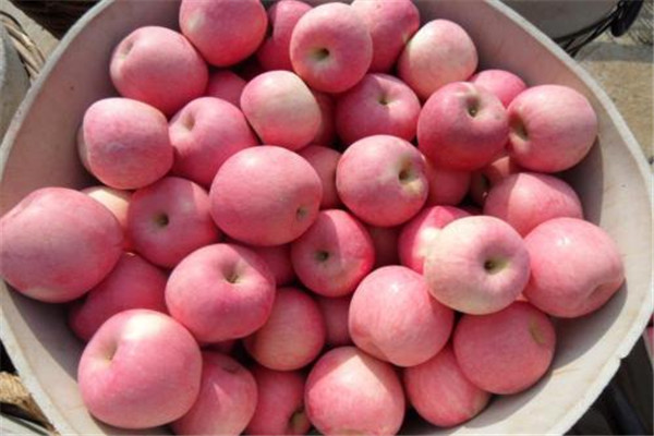 蘋果咬開(kāi)后里面有褐色是什么 蘋果一般人都能吃 蘋果咬開(kāi)后里面有褐色是什么 蘋果一般人都能吃