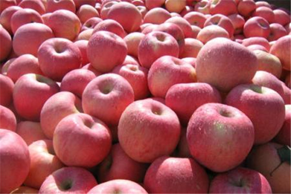 蘋果咬開(kāi)后里面有褐色是什么 蘋果一般人都能吃 蘋果咬開(kāi)后里面有褐色是什么 蘋果一般人都能吃