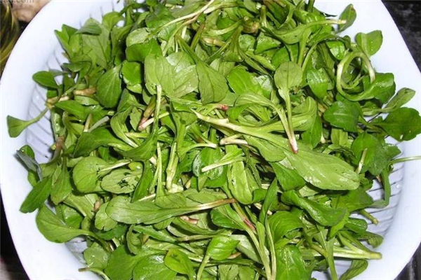 產(chǎn)婦坐月子能吃馬蘭頭嗎 產(chǎn)后吃馬蘭頭好嗎 產(chǎn)婦坐月子能吃馬蘭頭嗎 產(chǎn)后吃馬蘭頭好嗎