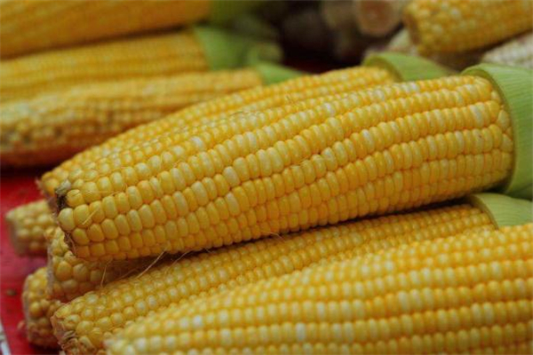 減肥可以吃甜玉米嗎 吃甜玉米會(huì)胖嗎