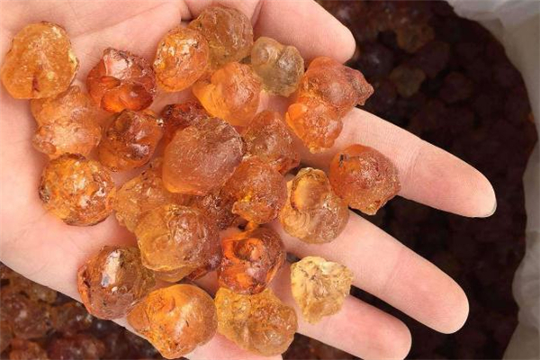 桃膠泡多了怎么存放 桃膠泡多了能保存多久 桃膠泡多了怎么存放 桃膠泡多了能保存多久